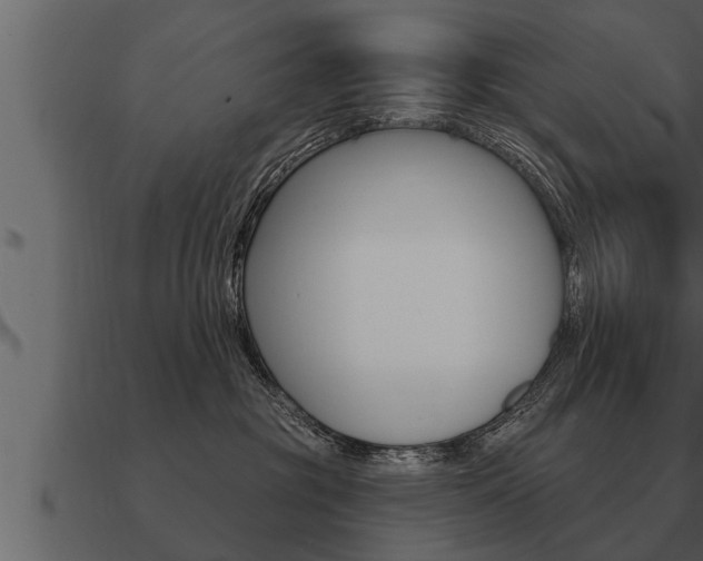 X0000091090381200708061004