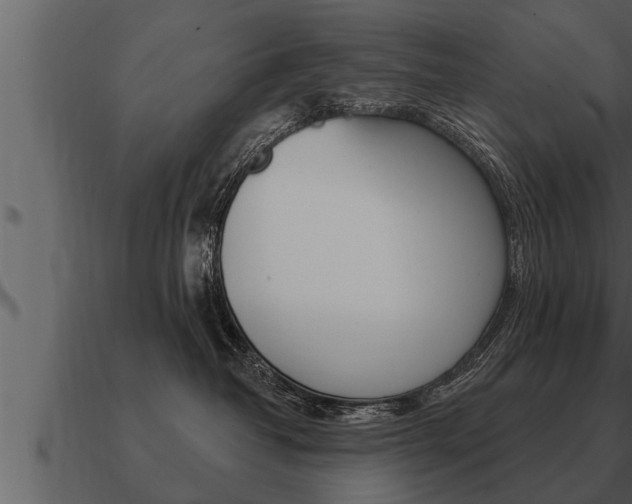 X0000091090382200708061004