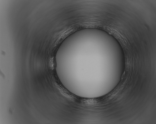X0000091090383200708061004