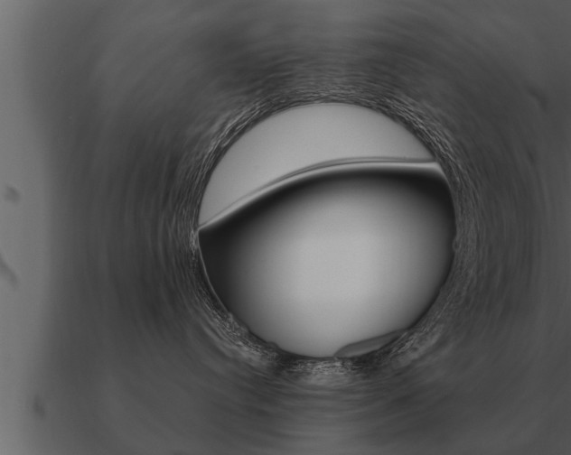 X0000091090384200708061004