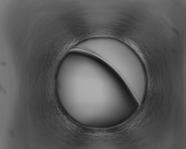 X0000091090385200708061003
