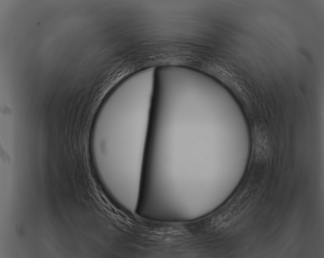 X0000091090386200708061003