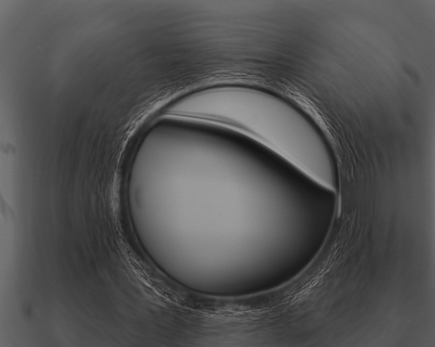 X0000091090387200708061003