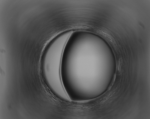 X0000091090388200708061003