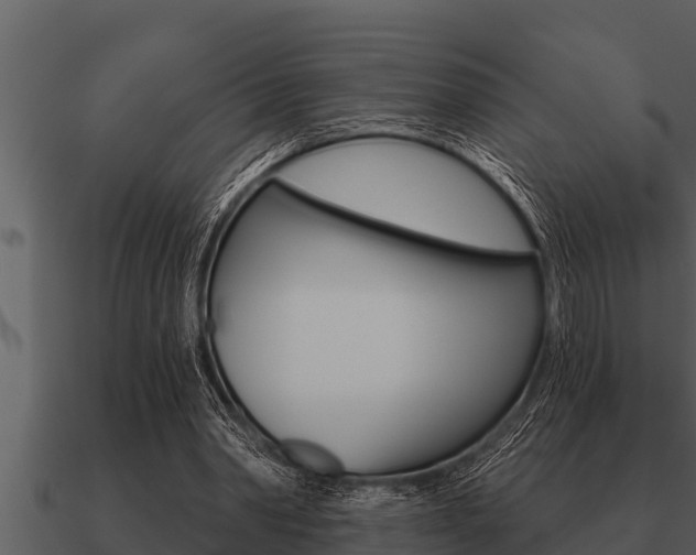 X0000091090390200708061003