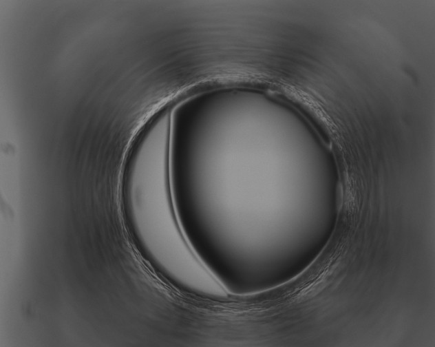 X0000091090391200708061003