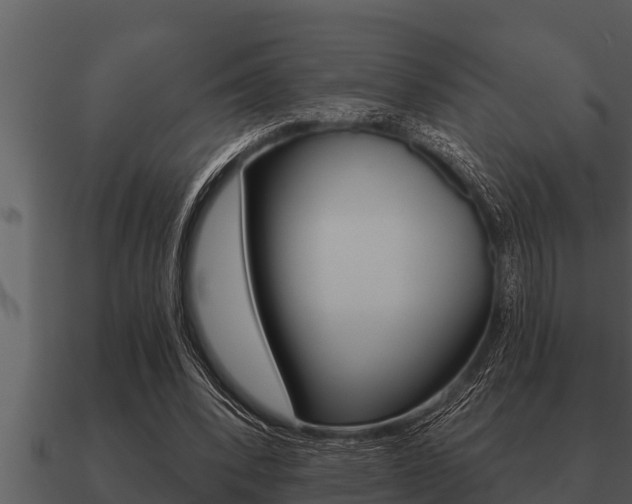 X0000091090392200708061003
