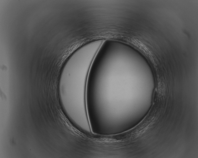 X0000091090393200708061003