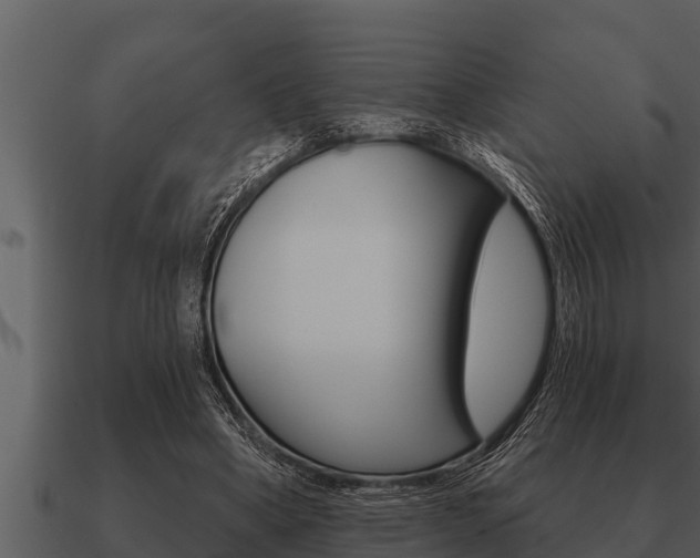 X0000091090394200708061003