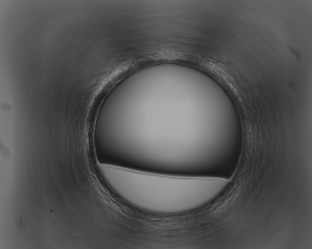 X0000091090395200708061003