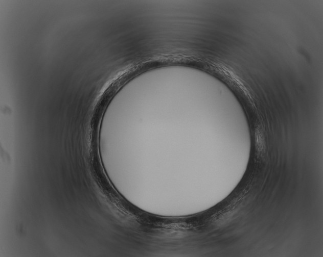 X0000091090396200708061003