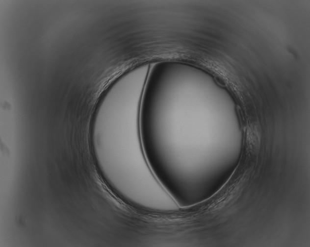 X0000091090397200708061003