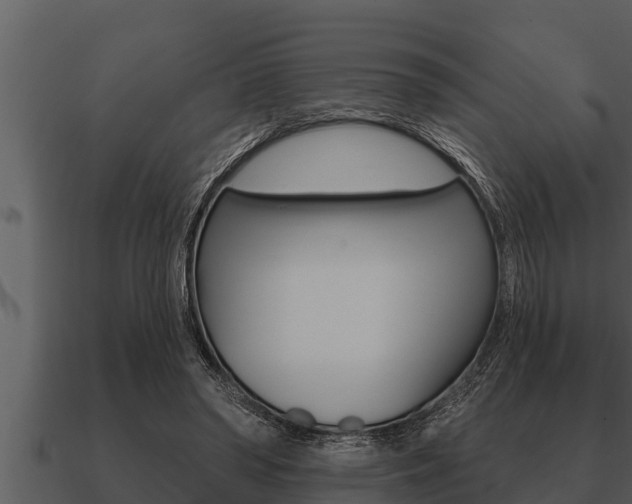 X0000091090398200708061003