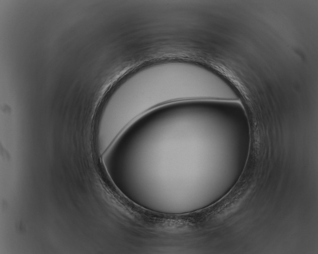 X0000091090399200708061003