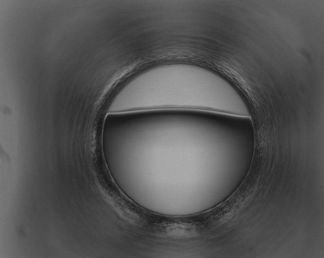 X0000091090400200708061003