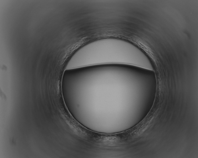 X0000091090401200708061003