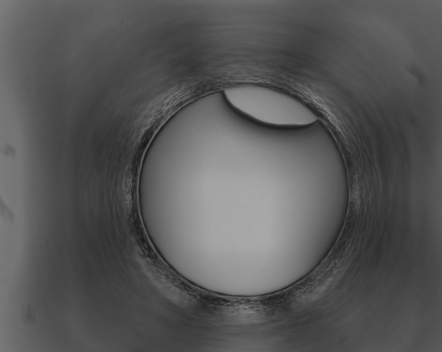 X0000091090402200708061003