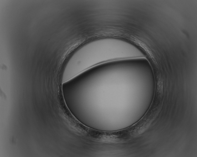 X0000091090403200708061003