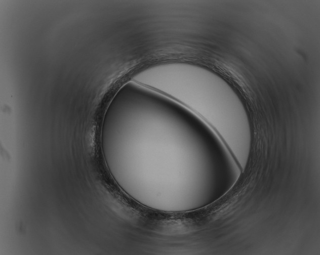 X0000091090404200708061003