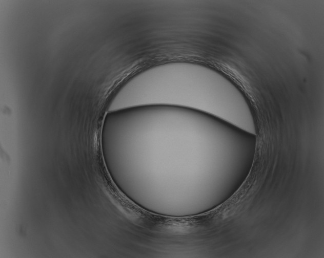 X0000091090405200708061003
