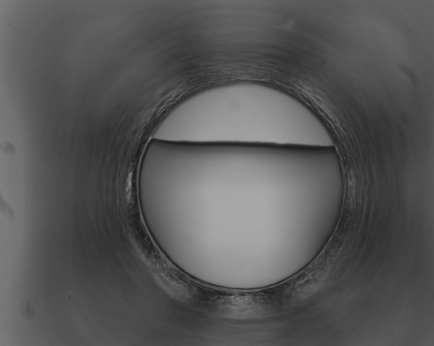 X0000091090406200708061003
