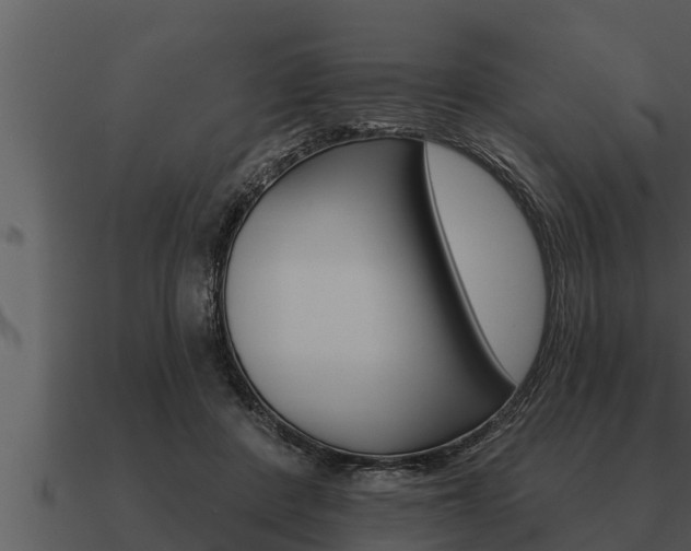 X0000091090408200708061003