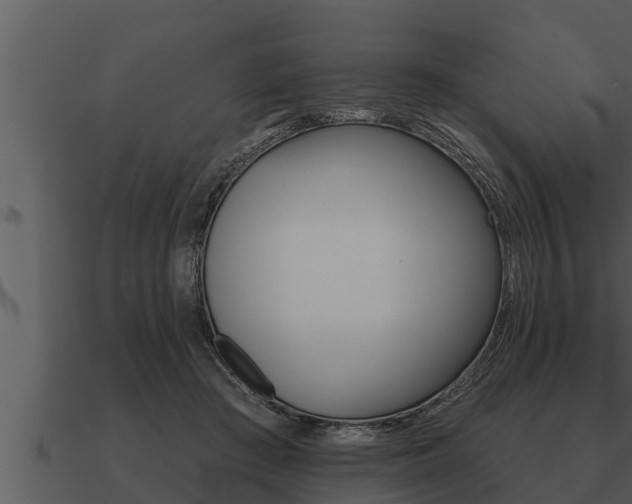 X0000091090409200708061003