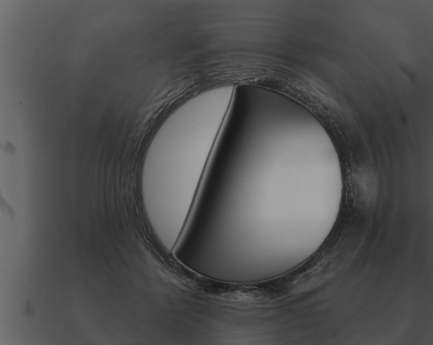 X0000091090412200708061003