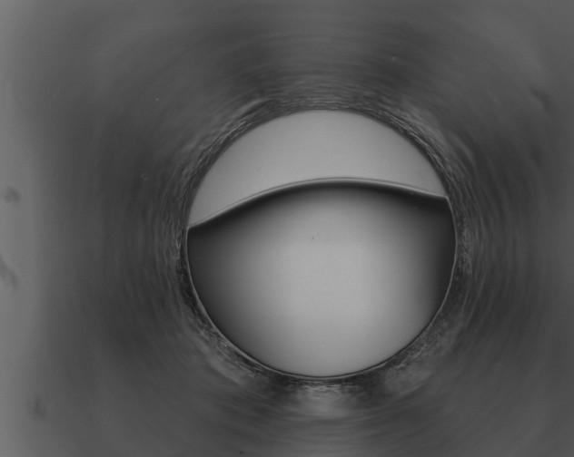 X0000091090413200708061003