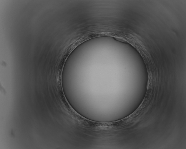X0000091090415200708061003