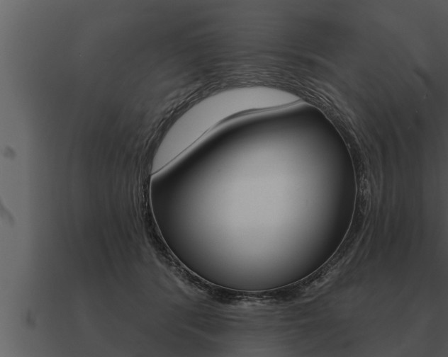 X0000091090416200708061003