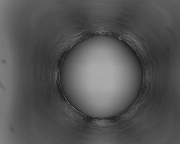 X0000091090417200708061003