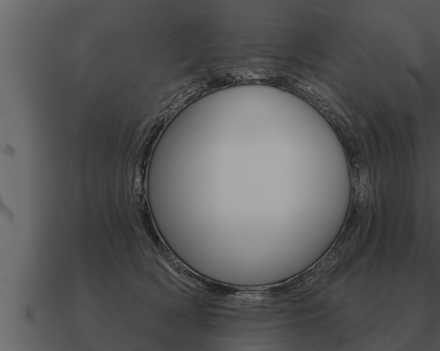 X0000091090418200708061003