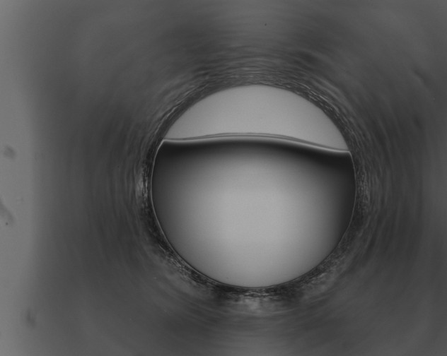 X0000091090420200708061003