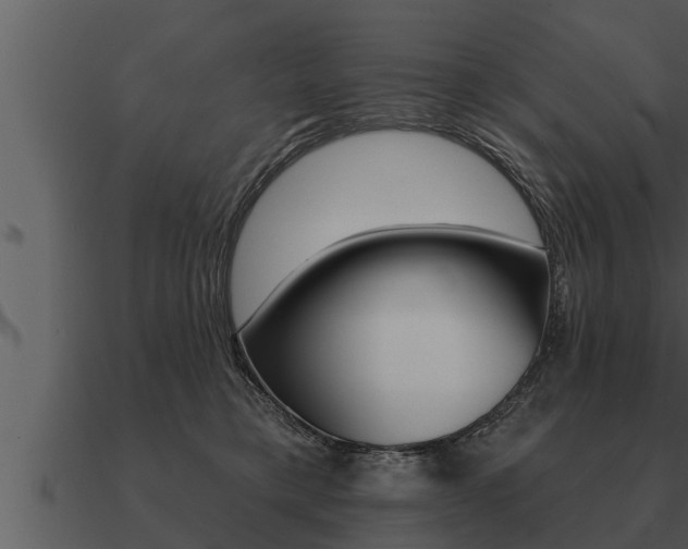 X0000091090421200708061003