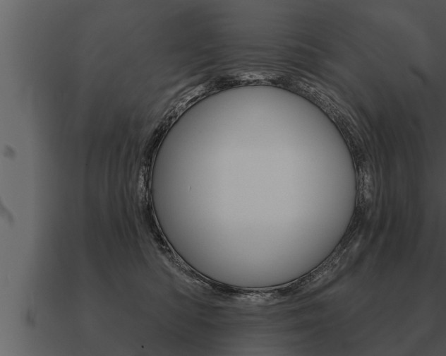 X0000091090422200708061003