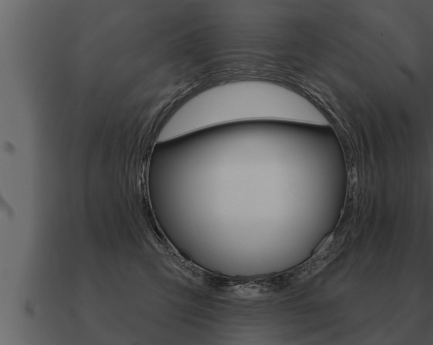 X0000091090423200708061003