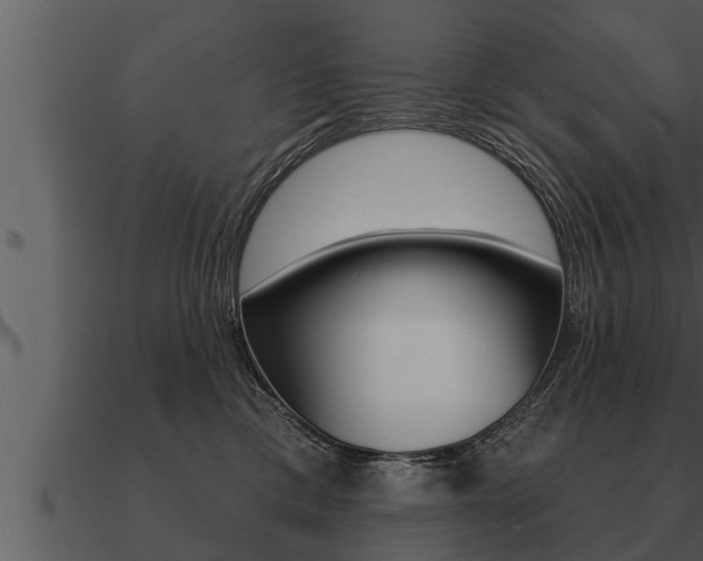 X0000091090425200708061003