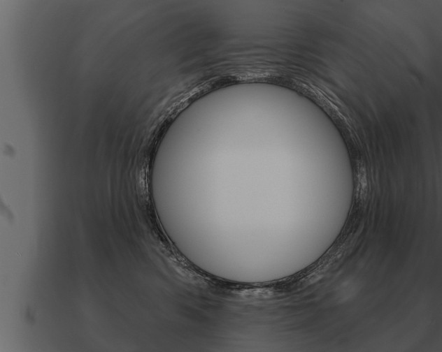 X0000091090426200708061003