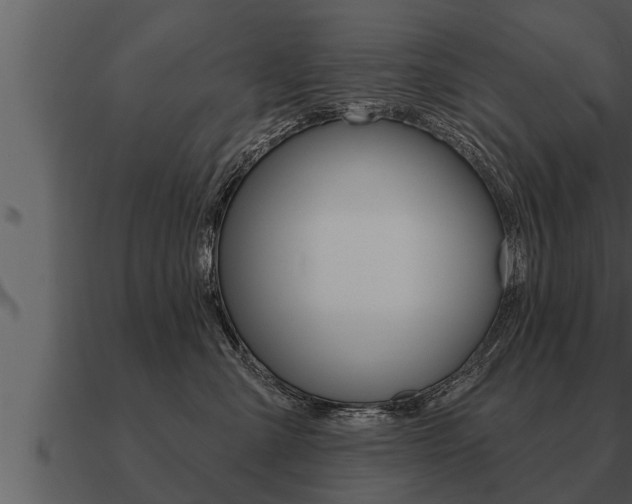 X0000091090427200708061003