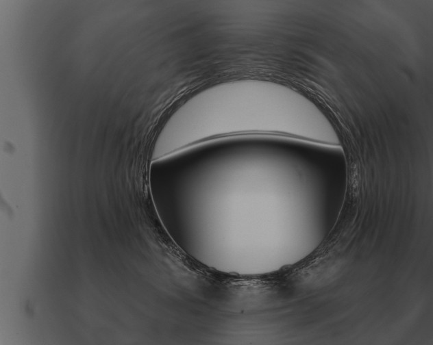 X0000091090428200708061003