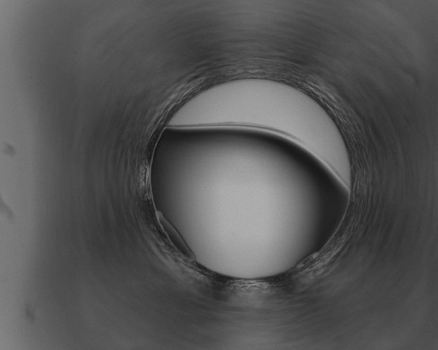 X0000091090429200708061003