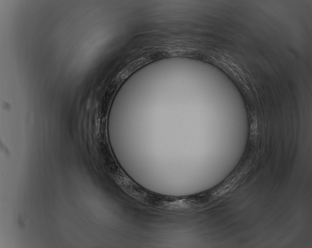 X0000091090430200708061003