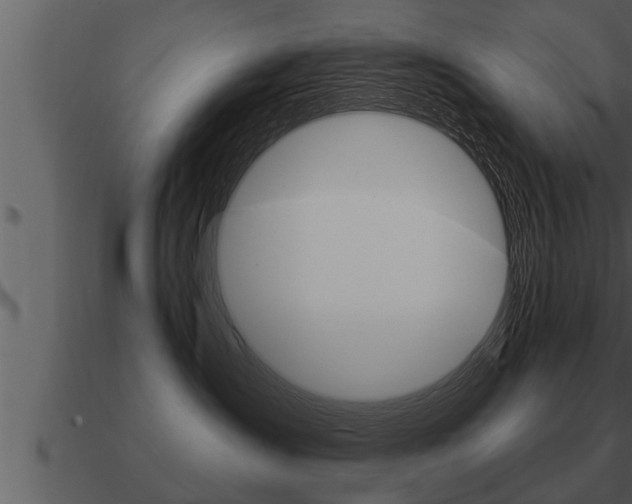 X0000091090431200708061003