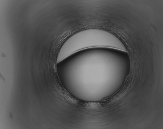 X0000091090432200708061003