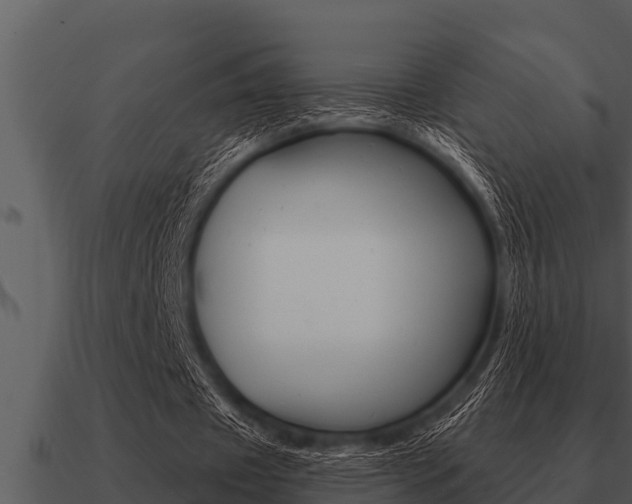 X0000091090433200708061002