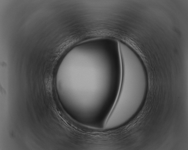 X0000091090434200708061002