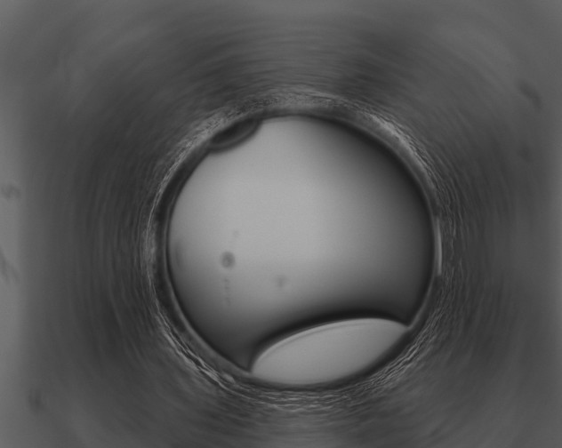 X0000091090435200708061002
