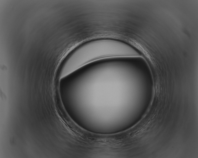 X0000091090436200708061002