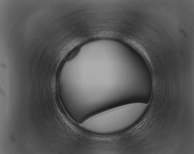 X0000091090437200708061002